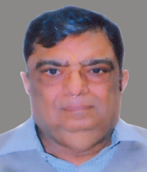 Mr. Vipin Aggarwal
